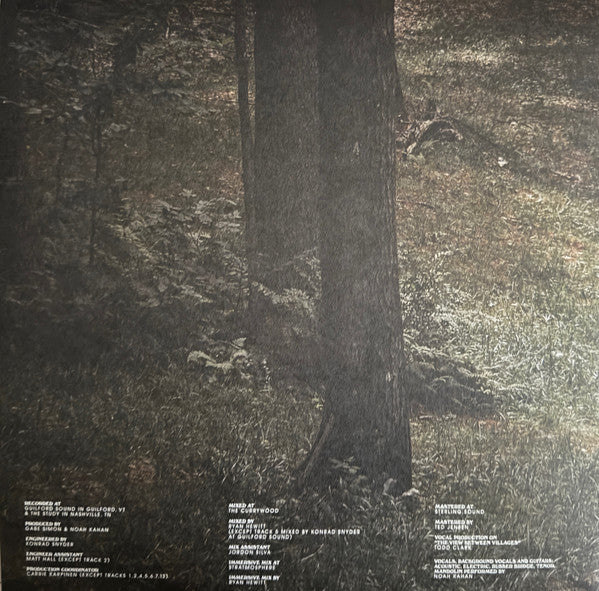 Noah Kahan : Stick Season (2xLP, Album, GZ )