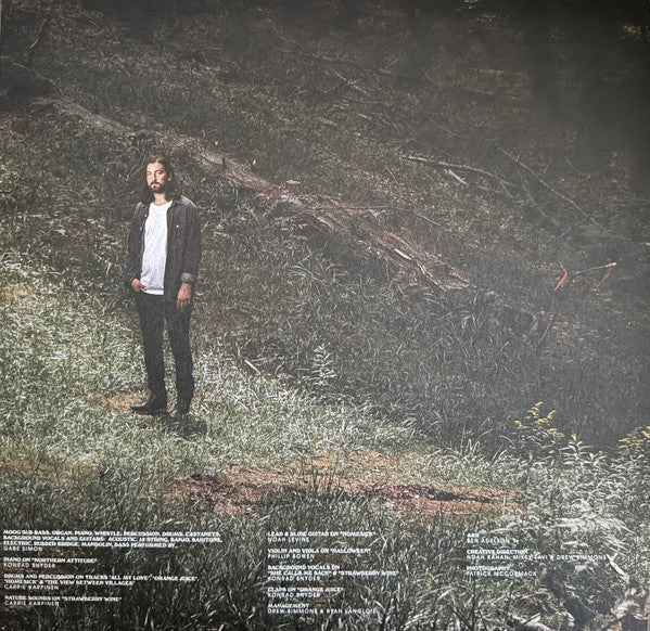 Noah Kahan : Stick Season (2xLP, Album, GZ )
