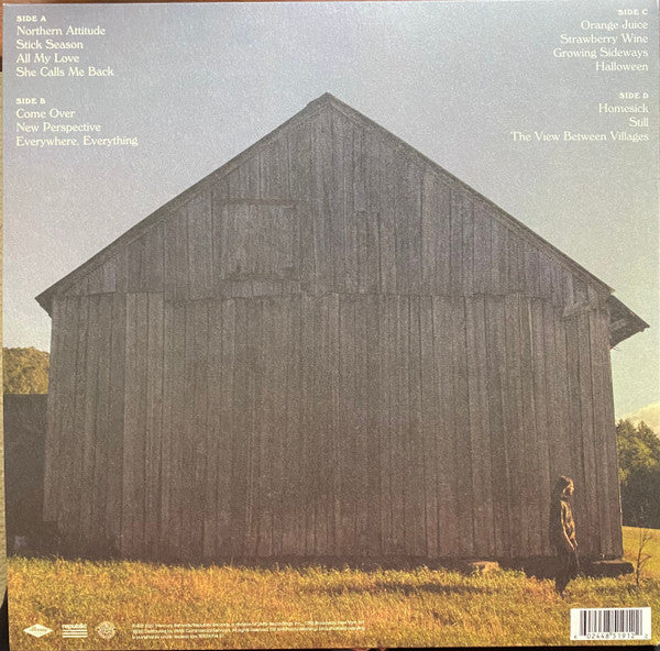 Noah Kahan : Stick Season (2xLP, Album, GZ )