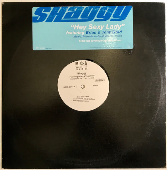 Shaggy Featuring Brian & Tony Gold : Hey Sexy Lady (12", Promo)