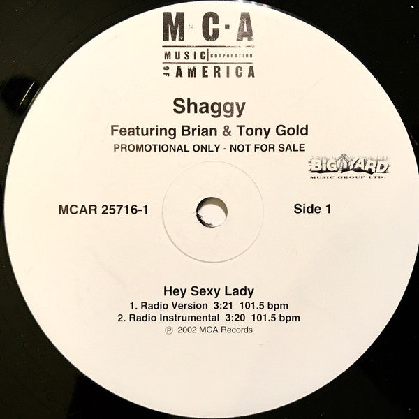 Shaggy Featuring Brian & Tony Gold : Hey Sexy Lady (12", Promo)
