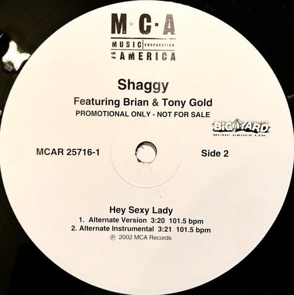 Shaggy Featuring Brian & Tony Gold : Hey Sexy Lady (12", Promo)