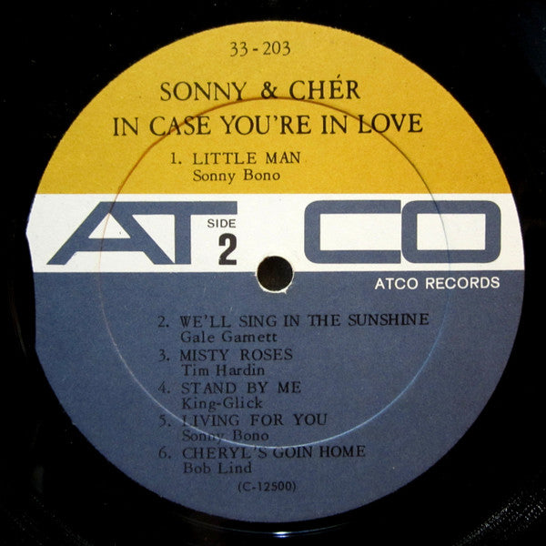 Sonny & Chér* : In Case You're In Love (LP, Album, Mono)