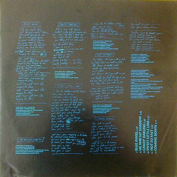 Daniel Ash : Coming Down (LP, Album)