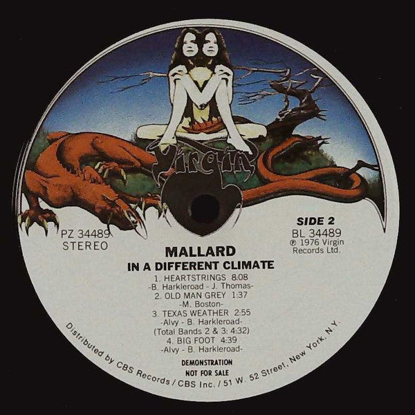 Mallard : In A Different Climate (LP, Album, Promo)