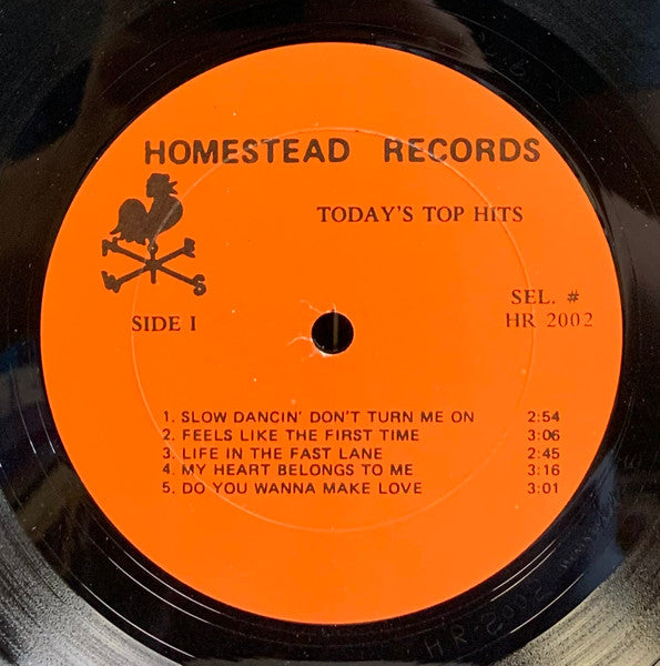 The Homesteaders (2) : Today's Top Hits Featuring Telephone Man (2xLP, Album)