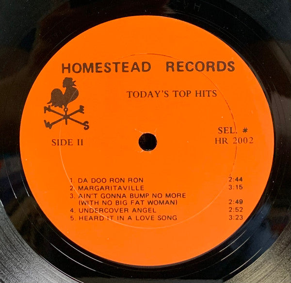 The Homesteaders (2) : Today's Top Hits Featuring Telephone Man (2xLP, Album)
