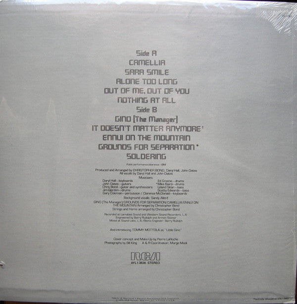 Daryl Hall & John Oates : Daryl Hall & John Oates (LP, Album, RE)