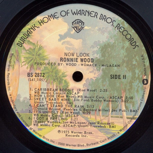 Ronnie Wood* : Now Look (LP, Album, Ter)