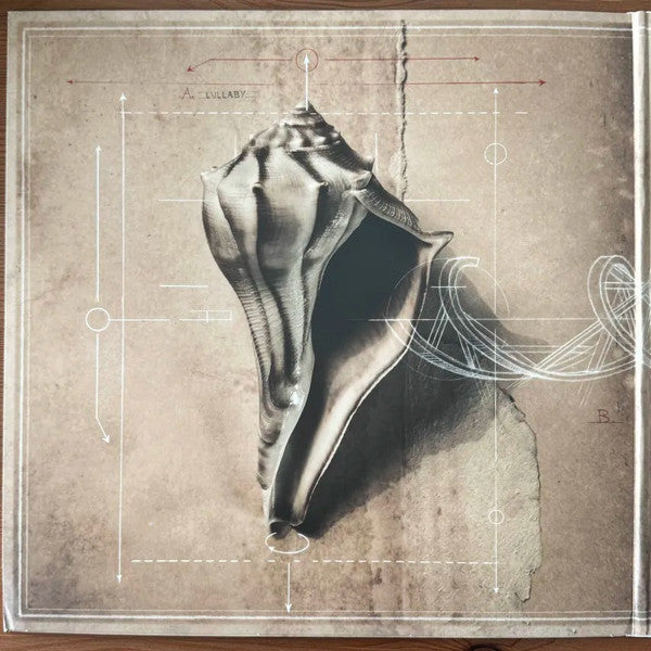 Robert Plant And The Sensational Space Shifters : Lullaby And... The Ceaseless Roar (LP + LP, S/Sided, Etch + Album, RE, RP)