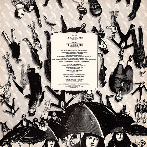 The Weather Girls : It's Raining Men (12")