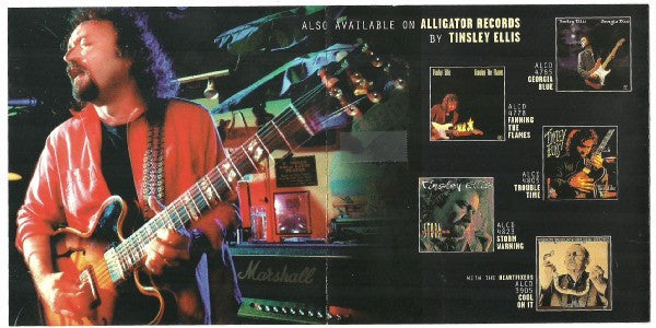 Tinsley Ellis : Fire It Up (CD, Album)