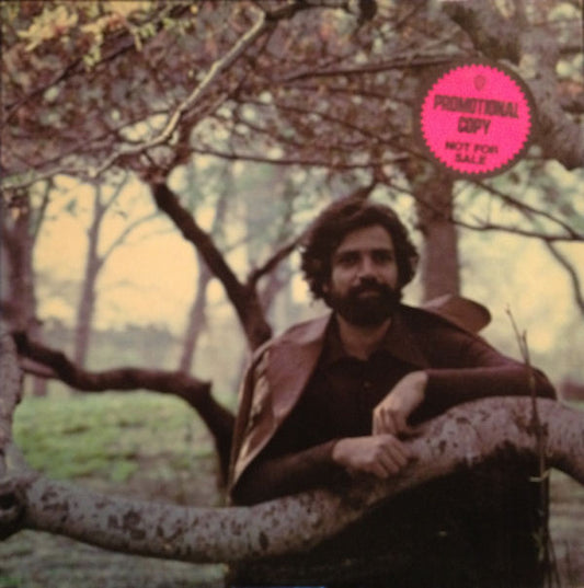 Felix Cavaliere : Destiny (LP, Album, Promo, San)