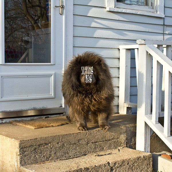 Sleeping Bag (2) : Sleeping Bag (LP, Album, Blu)