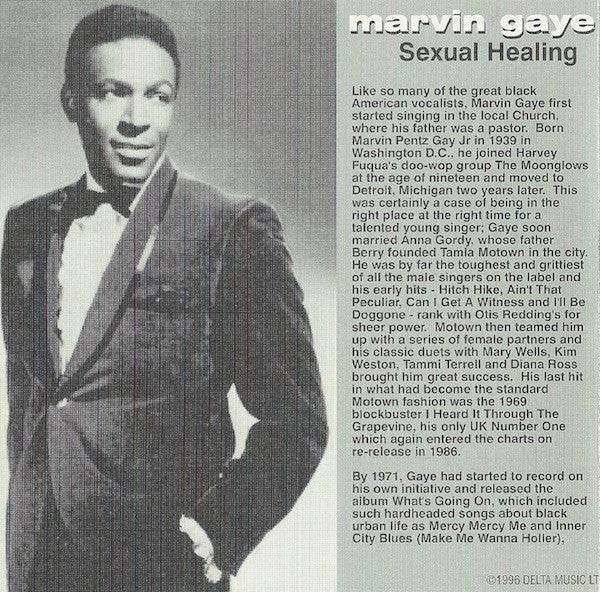 Marvin Gaye : Sexual Healing (VG+) – Square Cat Vinyl