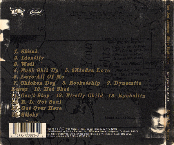 The Jon Spencer Blues Explosion : Now I Got Worry (CD, Album, Dig)