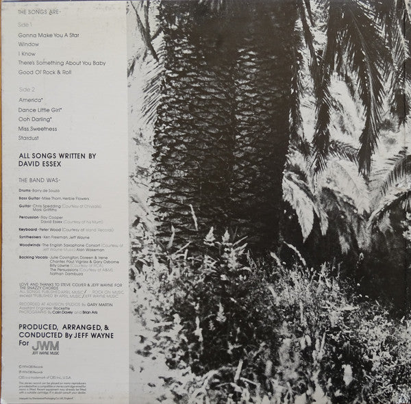 David Essex : David Essex (LP, Album)