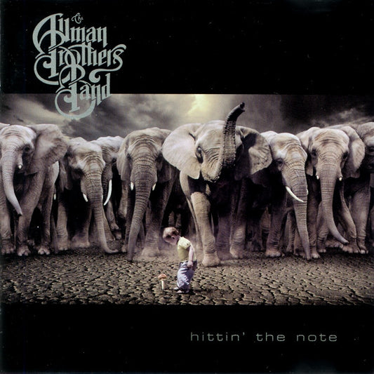 The Allman Brothers Band : Hittin' The Note (CD, Album)