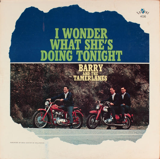 Barry And The Tamerlanes : I Wonder What She's Doing Tonight (LP, Mono)