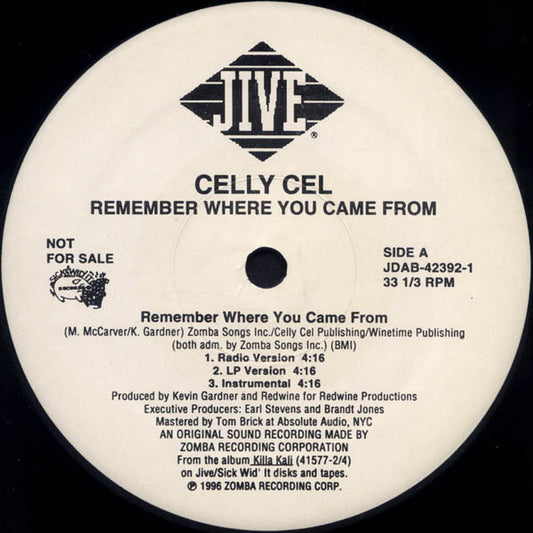 Celly Cel : Remember Where You Came From (12", Single, Promo)