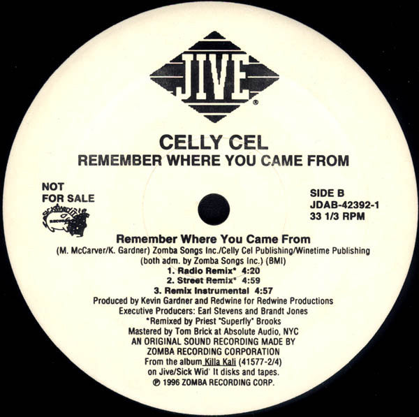 Celly Cel : Remember Where You Came From (12", Single, Promo)