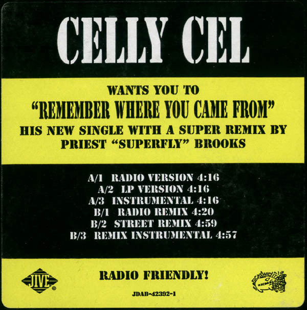 Celly Cel : Remember Where You Came From (12", Single, Promo)
