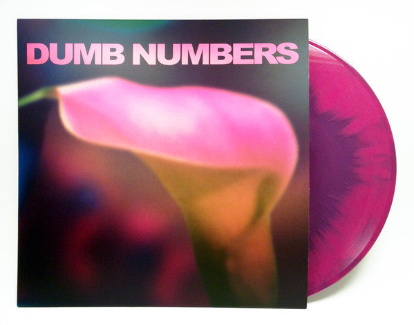 Dumb Numbers : Dumb Numbers (LP, Album, Ltd, Num, Pin)