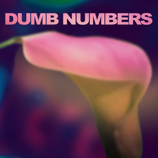 Dumb Numbers : Dumb Numbers (LP, Album, Ltd, Num, Pin)
