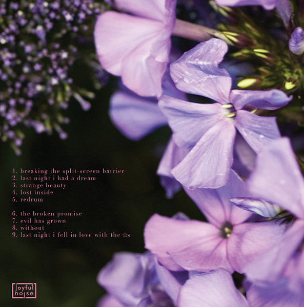 Dumb Numbers : Dumb Numbers (LP, Album, Ltd, Num, Pin)