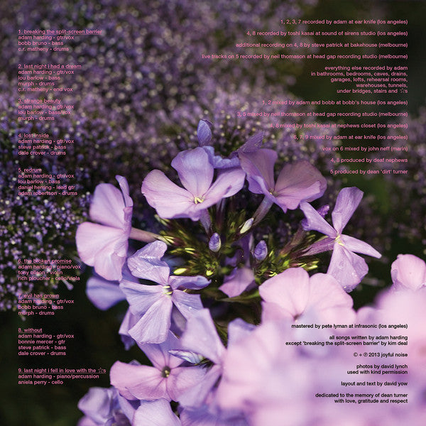 Dumb Numbers : Dumb Numbers (LP, Album, Ltd, Num, Pin)