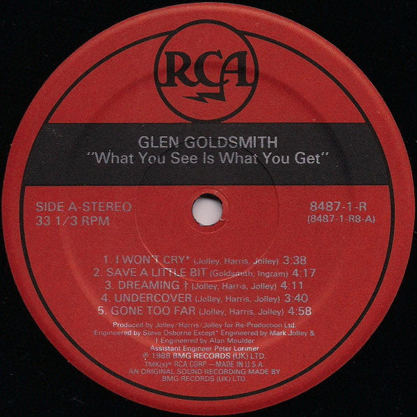 Glen Goldsmith : What You See Is What You Get (LP, Album)