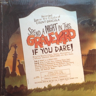 No Artist : Night In A Graveyard (LP)