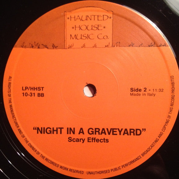 No Artist : Night In A Graveyard (LP)