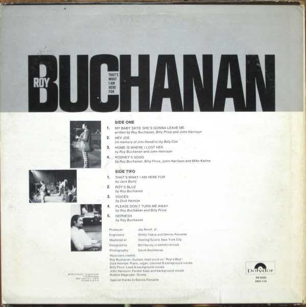 Roy Buchanan : That's What I Am Here For (LP, Album)