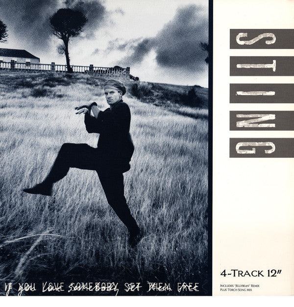 Sting : If You Love Somebody Set Them Free (12", B)