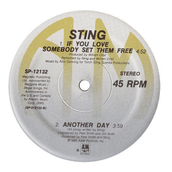 Sting : If You Love Somebody Set Them Free (12", B)