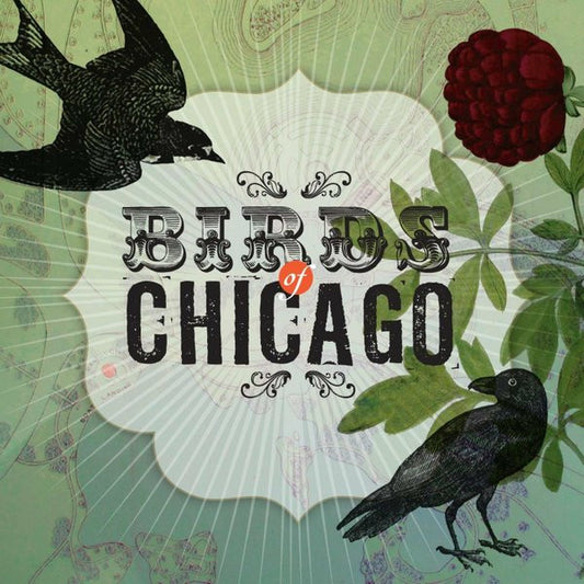 Birds Of Chicago : Birds Of Chicago (CD, Album)