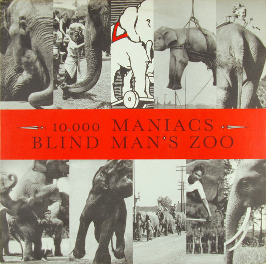 10,000 Maniacs : Blind Man's Zoo (LP, Album, SRC)
