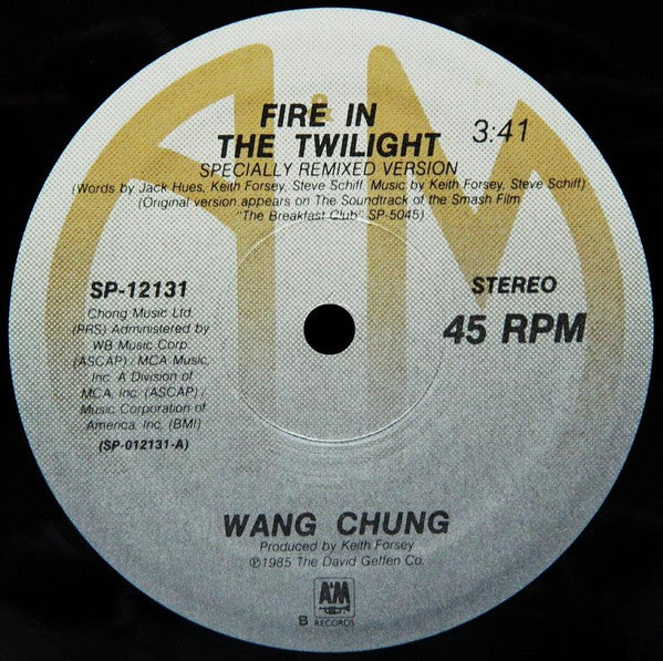 Wang Chung / Jesse Johnson And Stephanie Spruill : Fire In The Twilight / Heart Too Hot To Hold (12", Single)