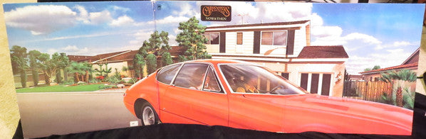 Carpenters : Now & Then (LP, Album, Club)