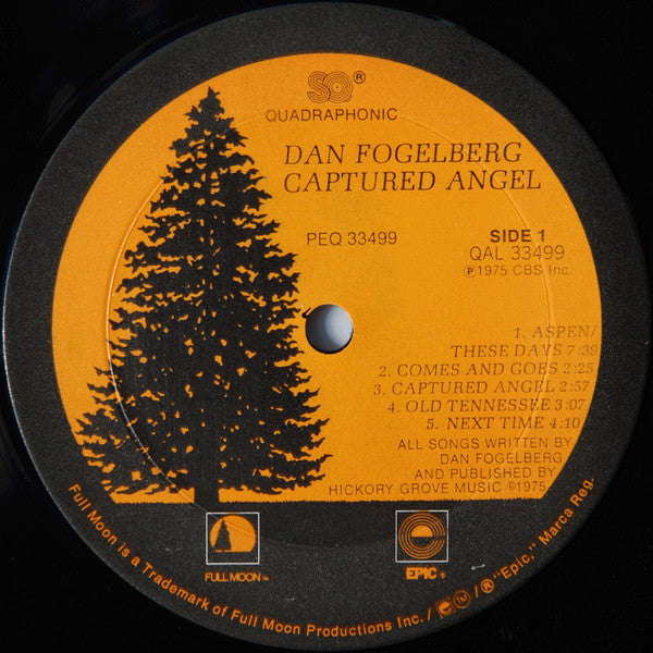 Dan Fogelberg : Captured Angel (LP, Album, Quad, Ter)