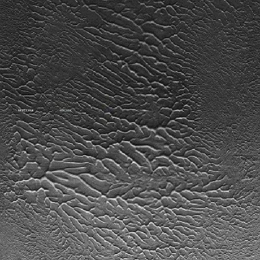 Matrixxman : Homesick (2xLP, Album)