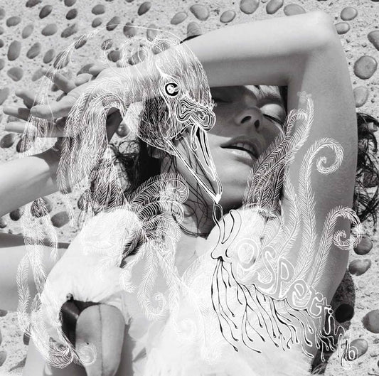 Bjork - Verspertine