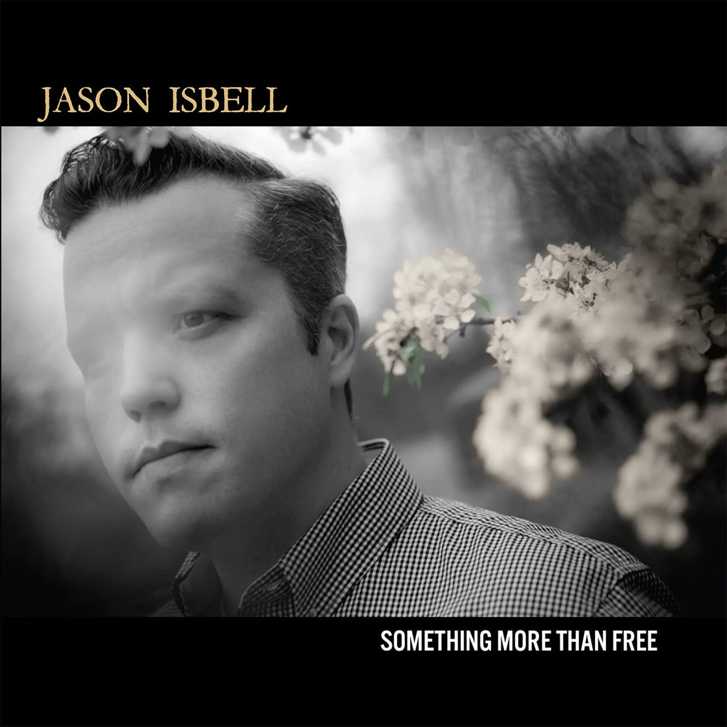 Isbell, Jason - Something More Than Free