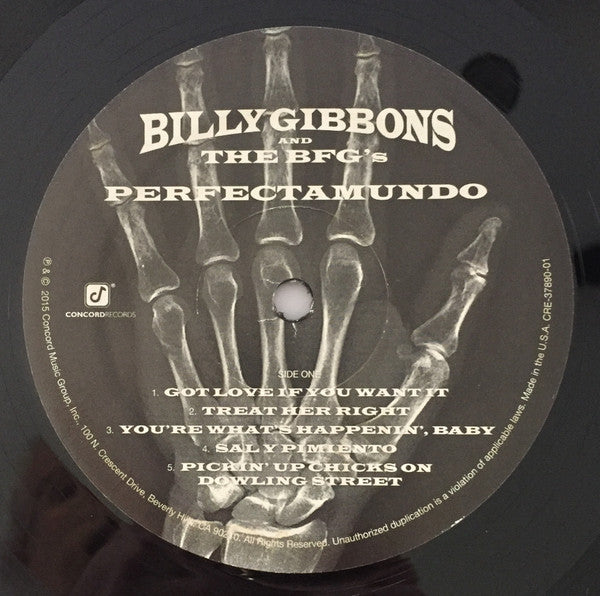 Billy Gibbons and The BFG's : Perfectamundo (LP, Album)