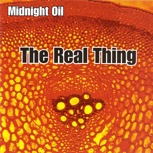 Midnight Oil : The Real Thing (CD, Album)