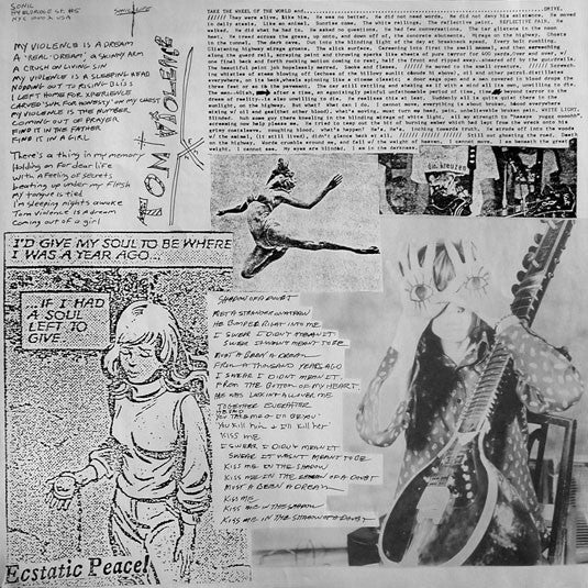 Sonic Youth : Evol (LP, Album)