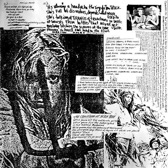 Sonic Youth : Evol (LP, Album)