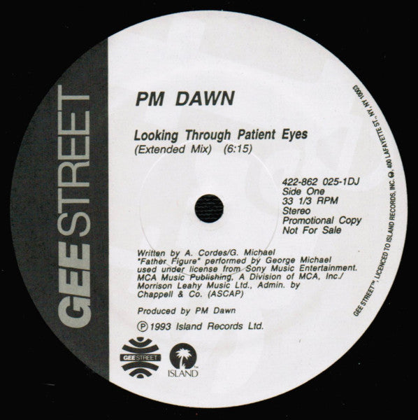 P.M. Dawn : Looking Through Patient Eyes (12", Promo)