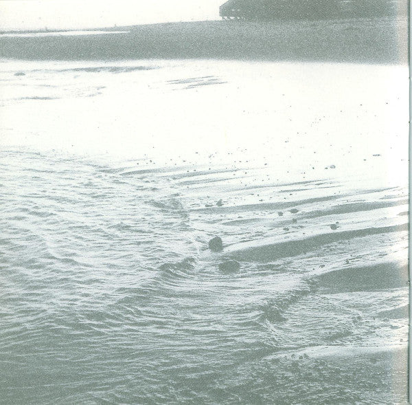 Michael Franks : Barefoot On The Beach (CD, Album)